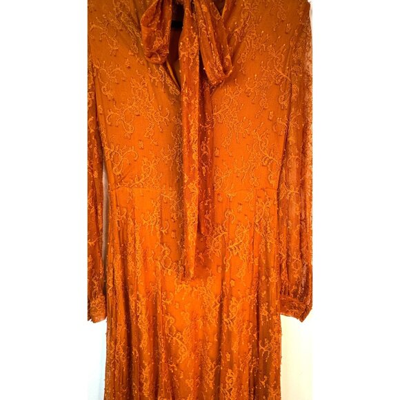 ZARA Vintage Inspired Small Lace Midi Dress In Burnt Orange - Picture 9 of 14